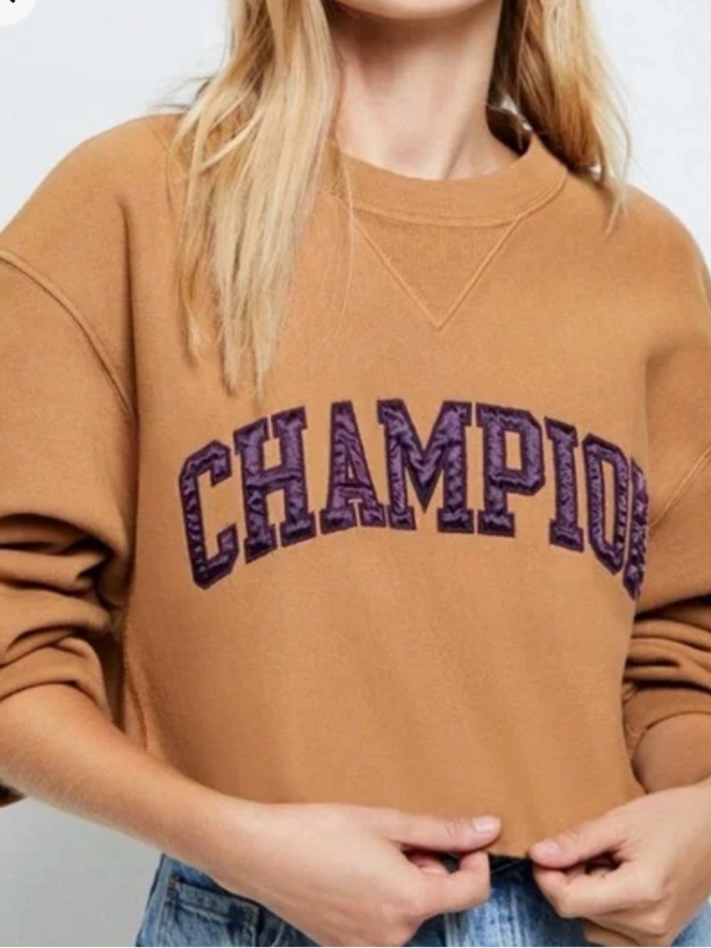 Champion vintage cropped sweatshirt